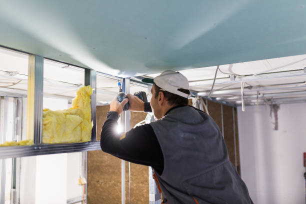 Types of Insulation We Offer in Osseo, MN